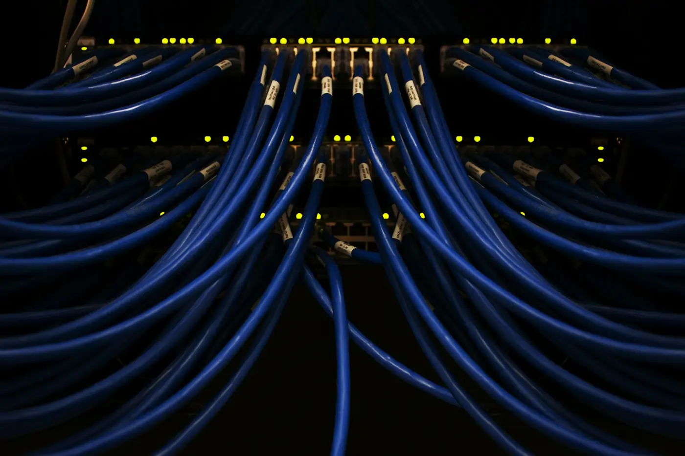 Blue network cables connected to a patch panel